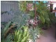 10 Fitzgerald Street, Chinchilla QLD 4413