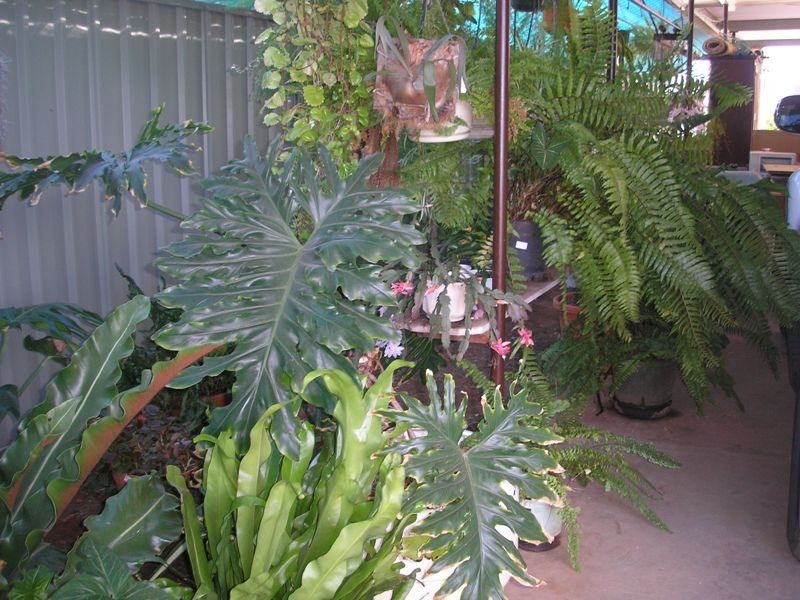 10 Fitzgerald Street, Chinchilla QLD 4413