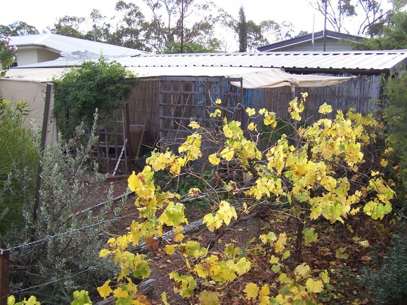 72 Jimbour Street, Jandowae QLD 4410