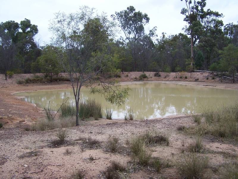 201 Dhalkes Road TARA, Chinchilla QLD 4413