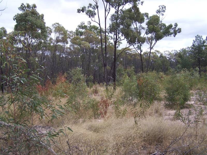 66 Ridge Road Tara, Tara QLD 4421