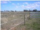 Lot 24 Colls Court, Chinchilla QLD 4413