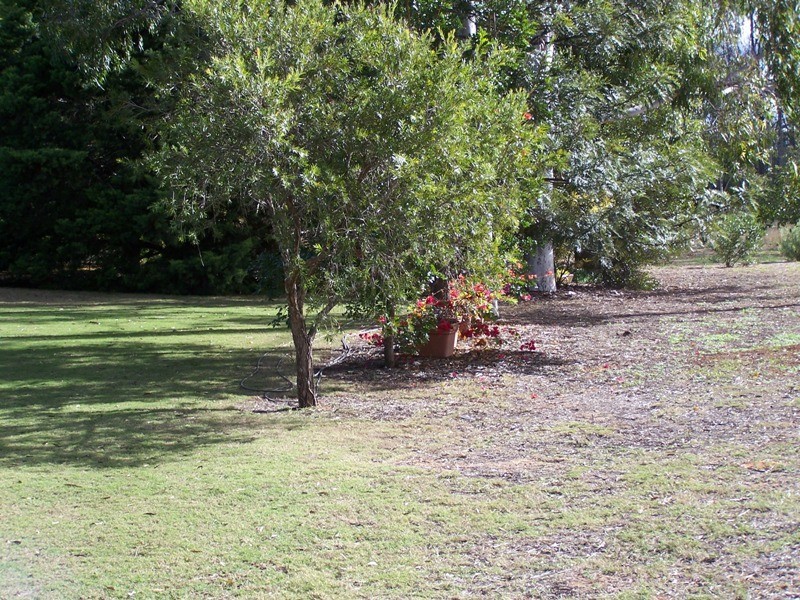 11 Mizpah Drive, Chinchilla QLD 4413
