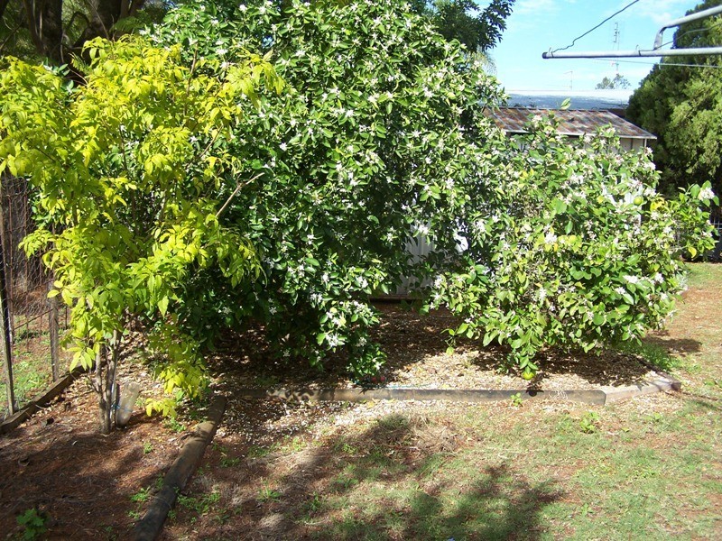 1 Wheeler Street, Chinchilla QLD 4413
