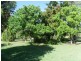 103 Mackie Street, Chinchilla QLD 4413