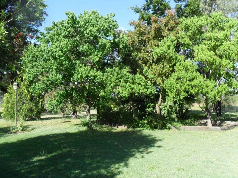 103 Mackie Street, Chinchilla QLD 4413