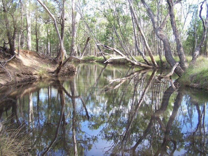 0 Surcingle Road, Chinchilla QLD 4413