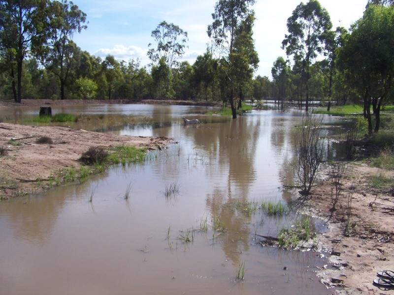 0 Surcingle Road, Chinchilla QLD 4413