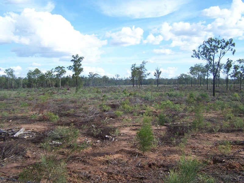 0 Surcingle Road, Chinchilla QLD 4413