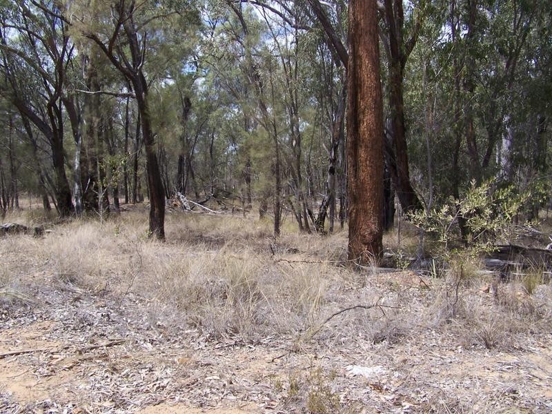 0 Drabsch Road, Chinchilla QLD 4413