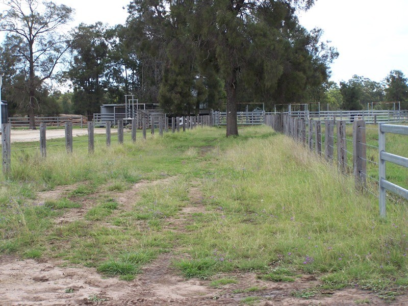 765 Braithwaites Road, Chinchilla QLD 4413