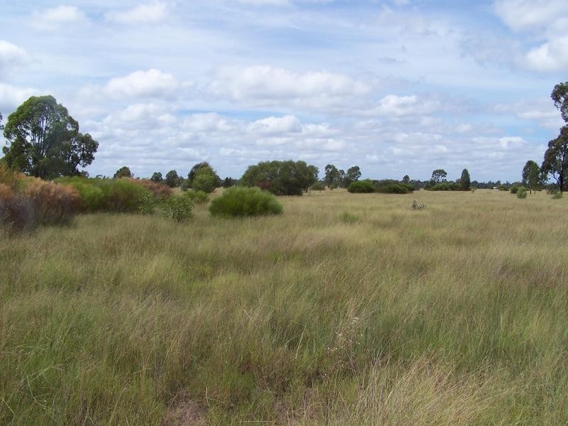 0 K ofoeds, Tara QLD 4421