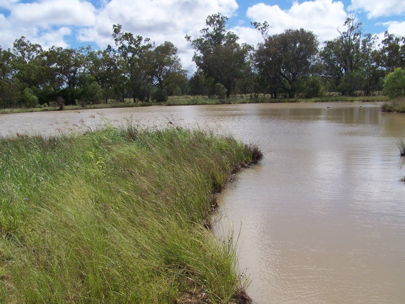 225 RACECOURSE ROAD, Chinchilla QLD 4413