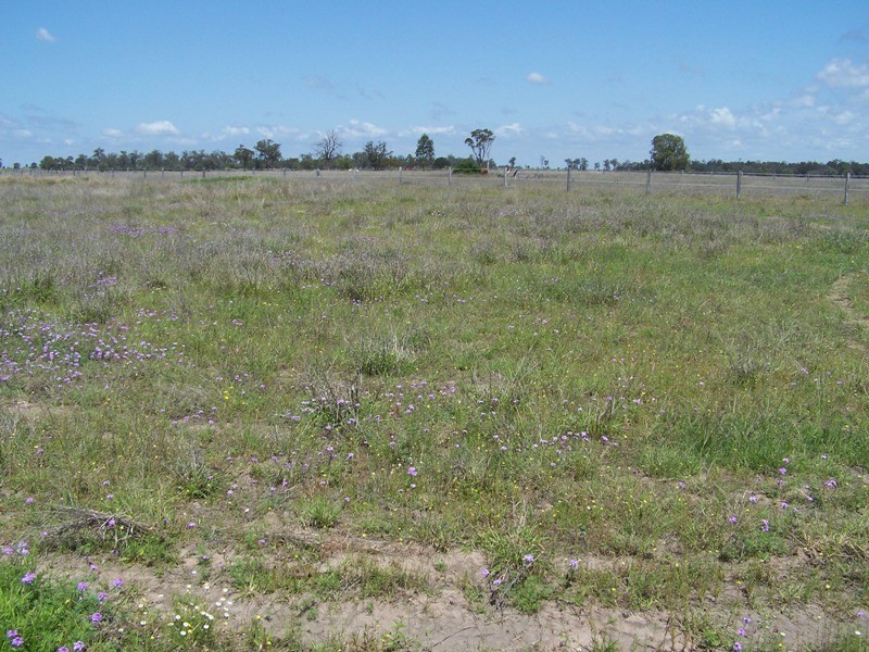 225 RACECOURSE ROAD, Chinchilla QLD 4413