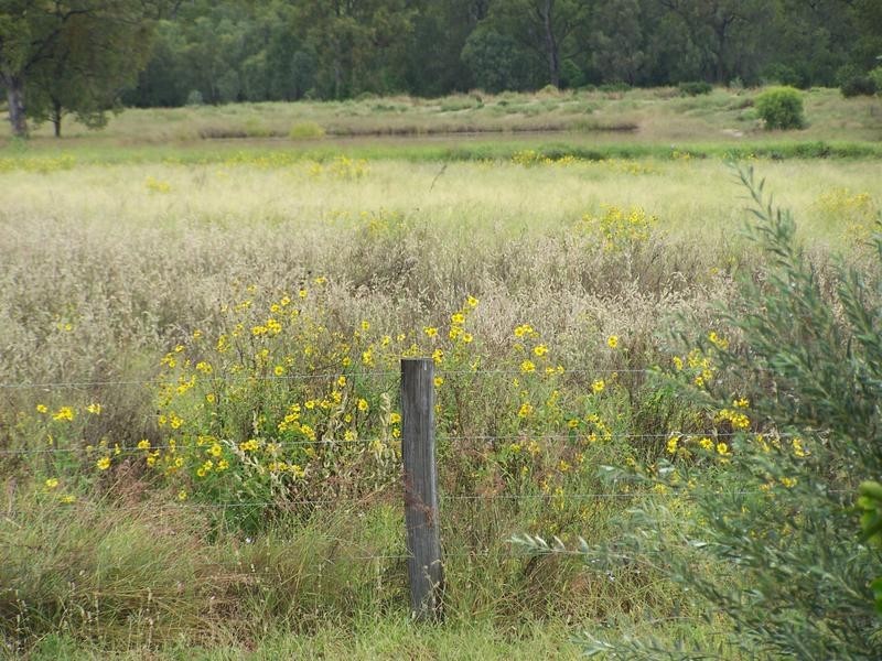 0 Holmes Road, Chinchilla QLD 4413