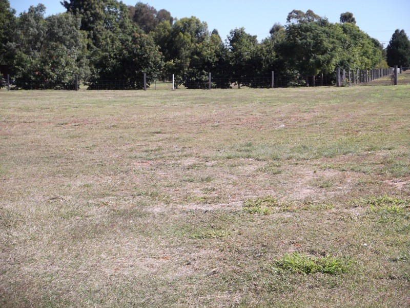 35 Sommerfeld Crescent, Chinchilla QLD 4413