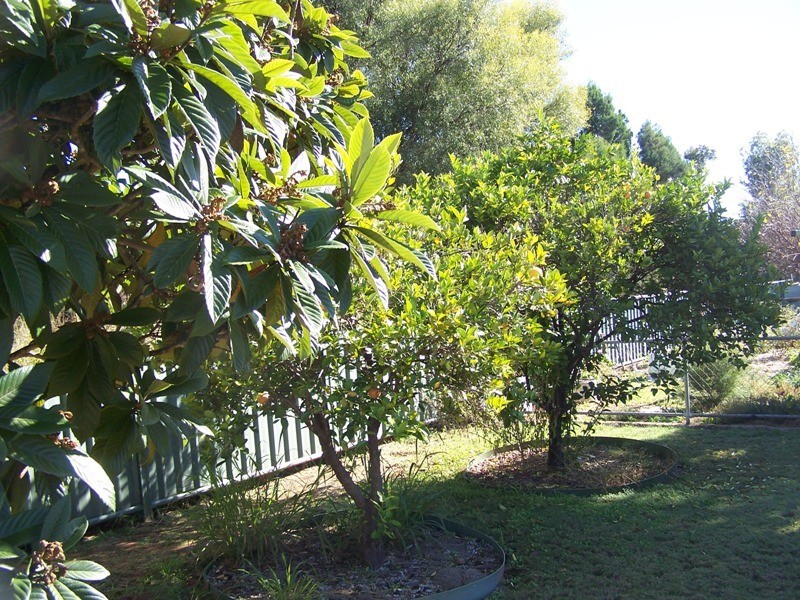 5 Scouller Street, Chinchilla QLD 4413
