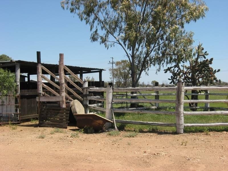 10 Forrest, Drillham QLD 4424