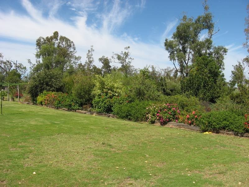 307 Redmarley Road, Condamine QLD 4416