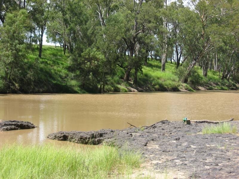 307 Redmarley Road, Condamine QLD 4416