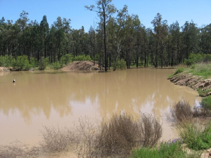 168 Akers Gully Road, Miles QLD 4415