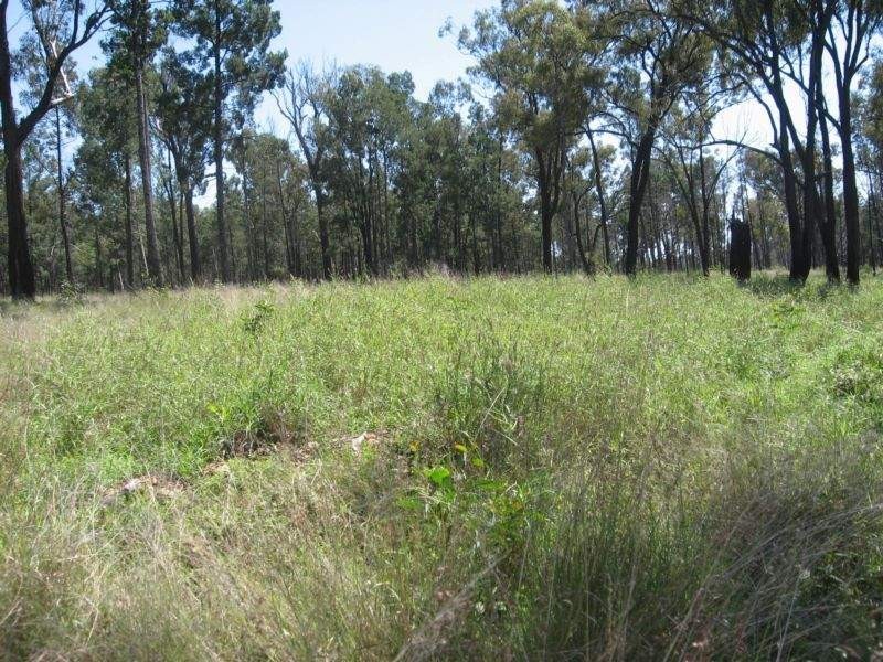 168 Akers Gully Road, Miles QLD 4415
