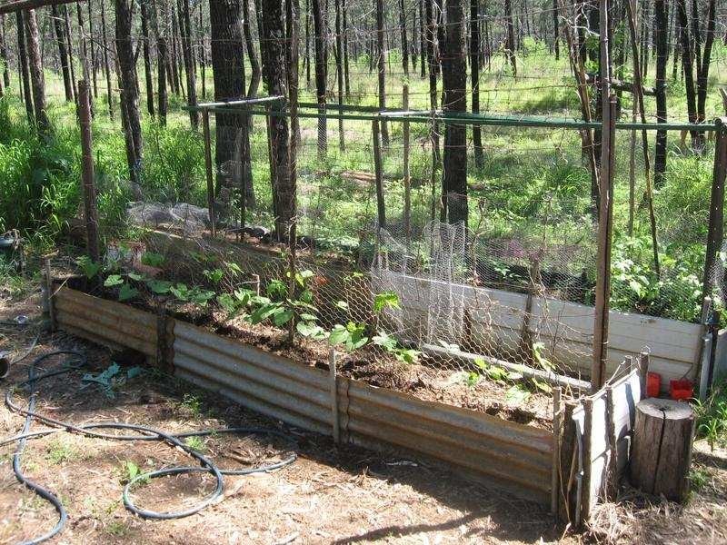 168 Akers Gully Road, Miles QLD 4415