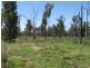 168 Akers Gully Road, Miles QLD 4415