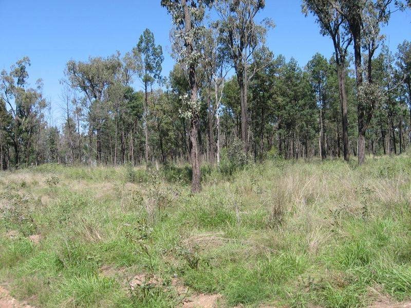 168 Akers Gully Road, Miles QLD 4415