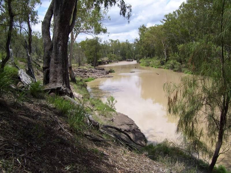 Leichhardt Highway, Condamine QLD 4416