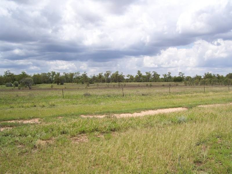 Leichhardt Highway, Condamine QLD 4416