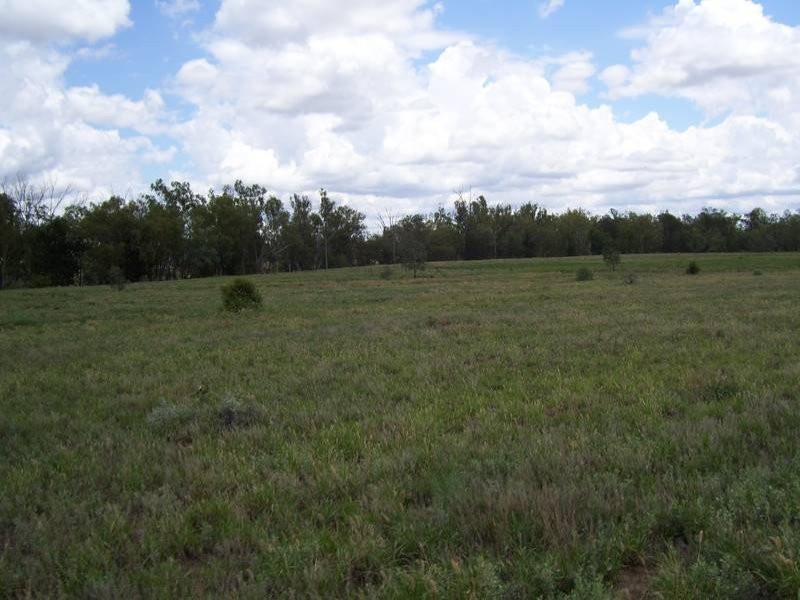 Leichhardt Highway, Condamine QLD 4416