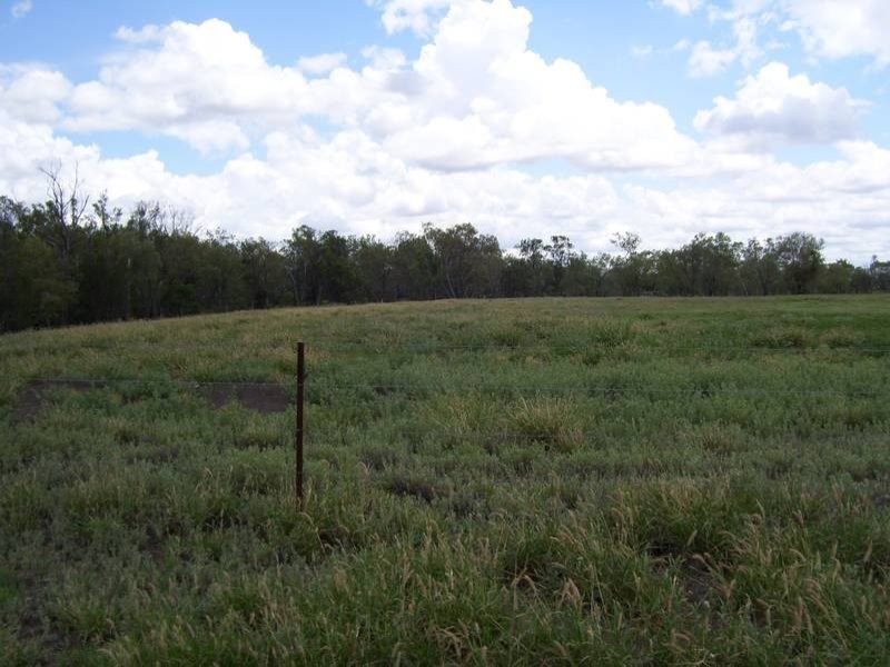 Leichhardt Highway, Condamine QLD 4416