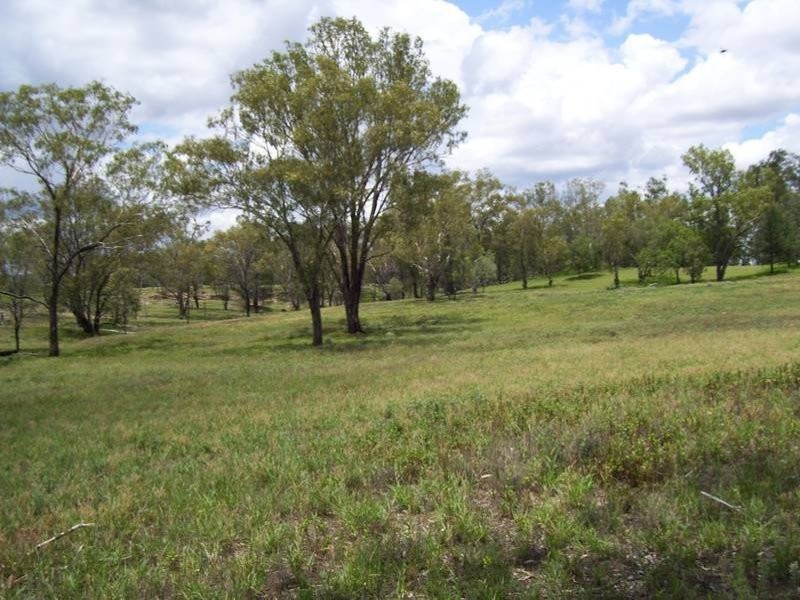 Leichhardt Highway, Condamine QLD 4416
