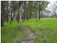 Leichhardt Highway, Condamine QLD 4416