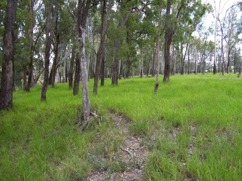 Leichhardt Highway, Condamine QLD 4416