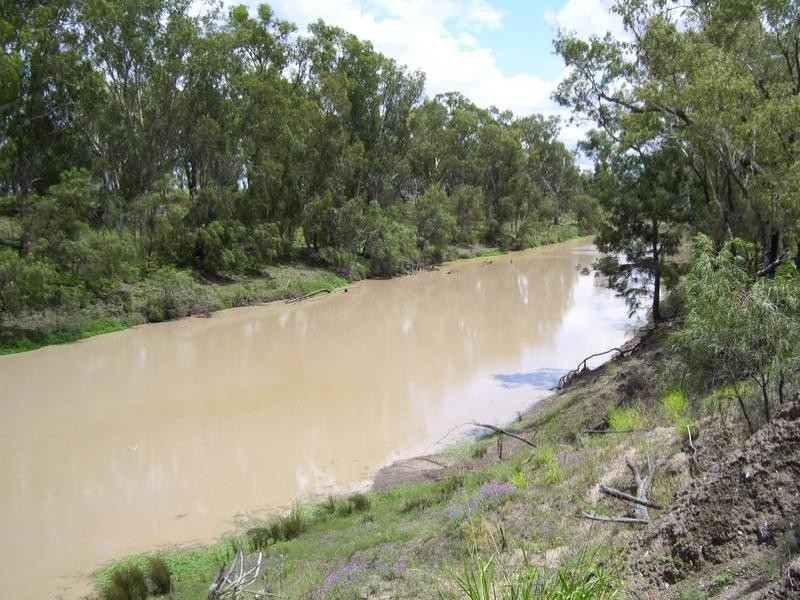 Leichhardt Highway, Condamine QLD 4416