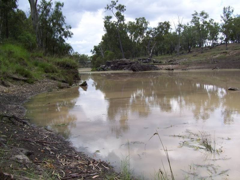 Leichhardt Highway, Condamine QLD 4416