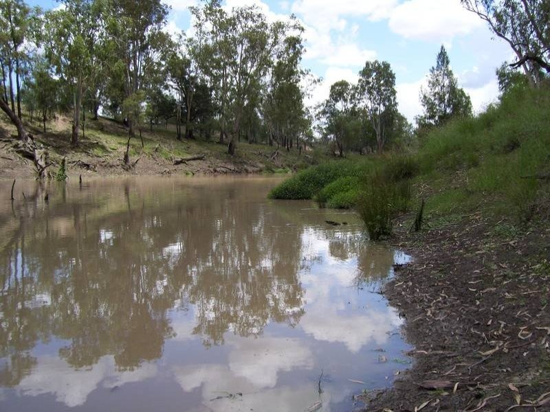 Leichhardt Highway, Condamine QLD 4416
