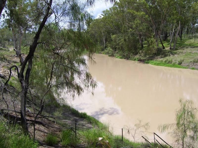 Leichhardt Highway, Condamine QLD 4416