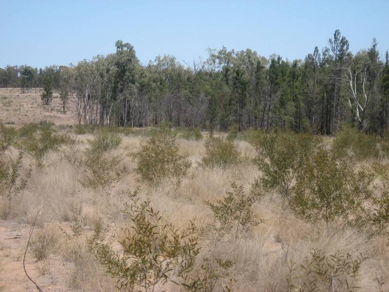 Lot 1 Warrego Highway, Miles QLD 4415