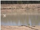 Lot 1 Warrego Highway, Miles QLD 4415
