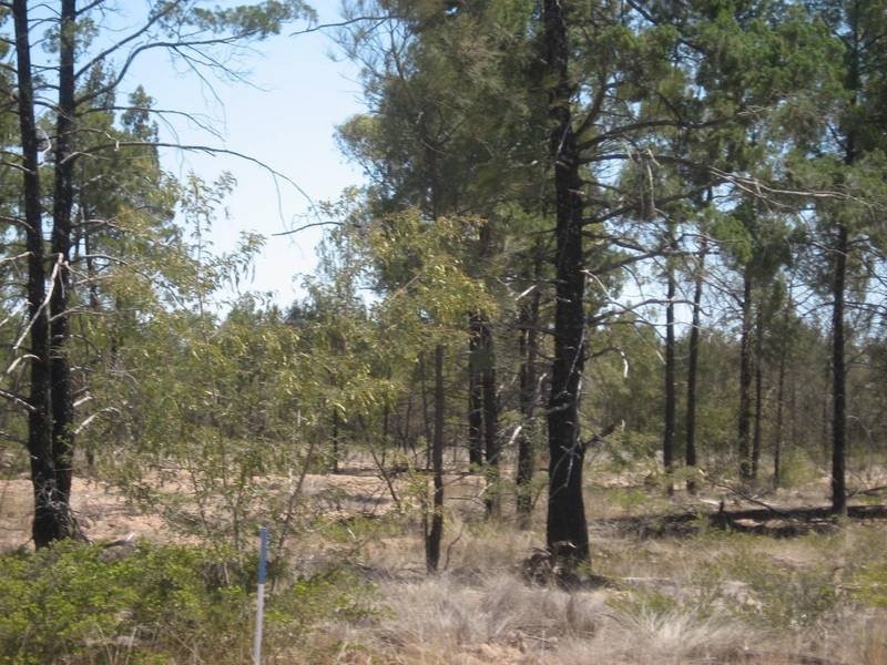 Lot 1 Warrego Highway, Miles QLD 4415