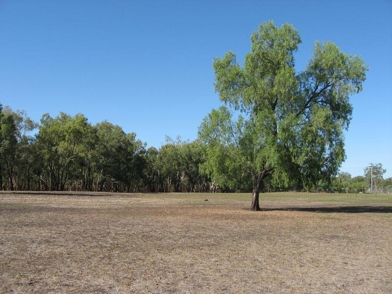 Lot 10 Wood Street, Condamine QLD 4416