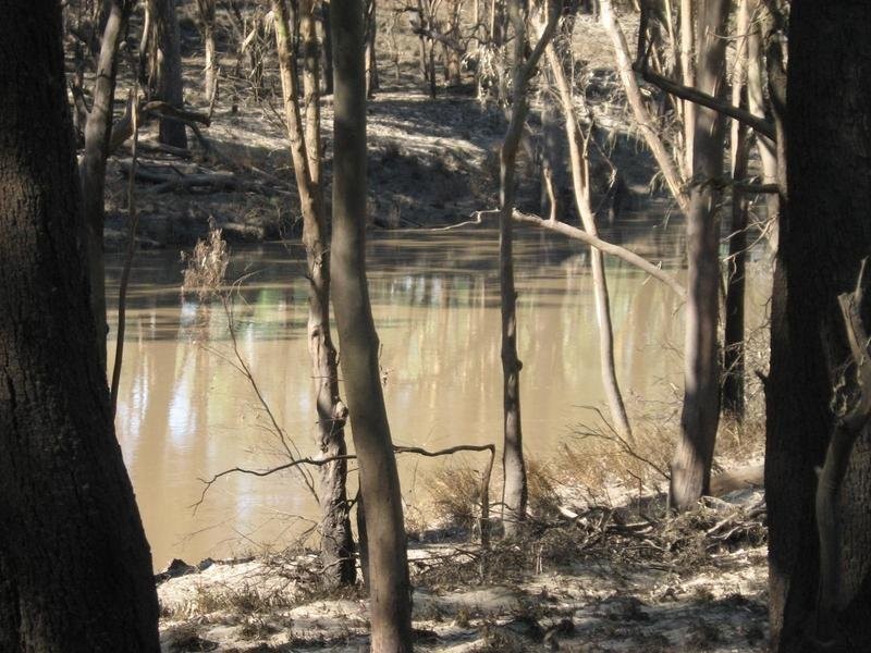 Lot 10 Wood Street, Condamine QLD 4416