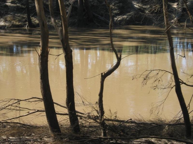 Lot 10 Wood Street, Condamine QLD 4416