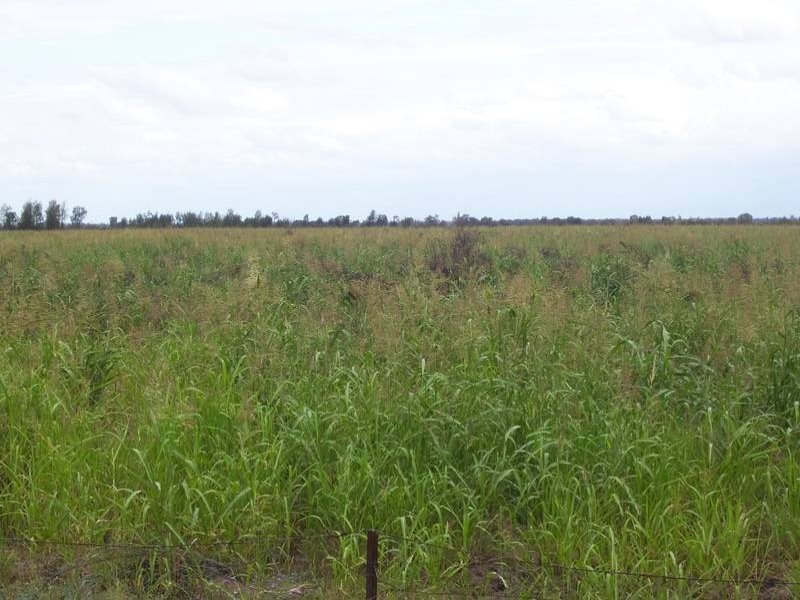 1167 Humbug Road, The Gums QLD 4406