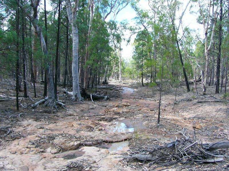 Glenafton Lane, Miles QLD 4415