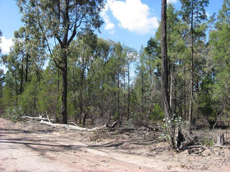 Glenafton Lane, Miles QLD 4415