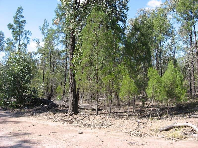 Glenafton Lane, Miles QLD 4415